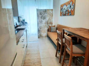 2 bedrooms appartement with lake view and terrace at Arona, Arona
